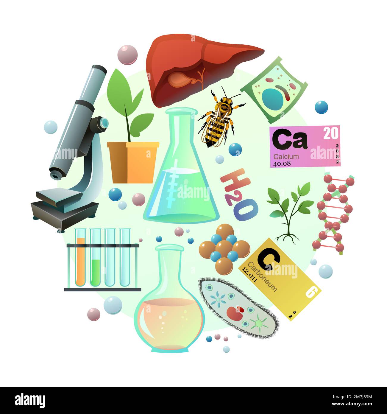 Chemistry picture in form of circle. Science items picture. Study of living cells of plants, animals and humans. Isolated on white background. Vector. Stock Vector