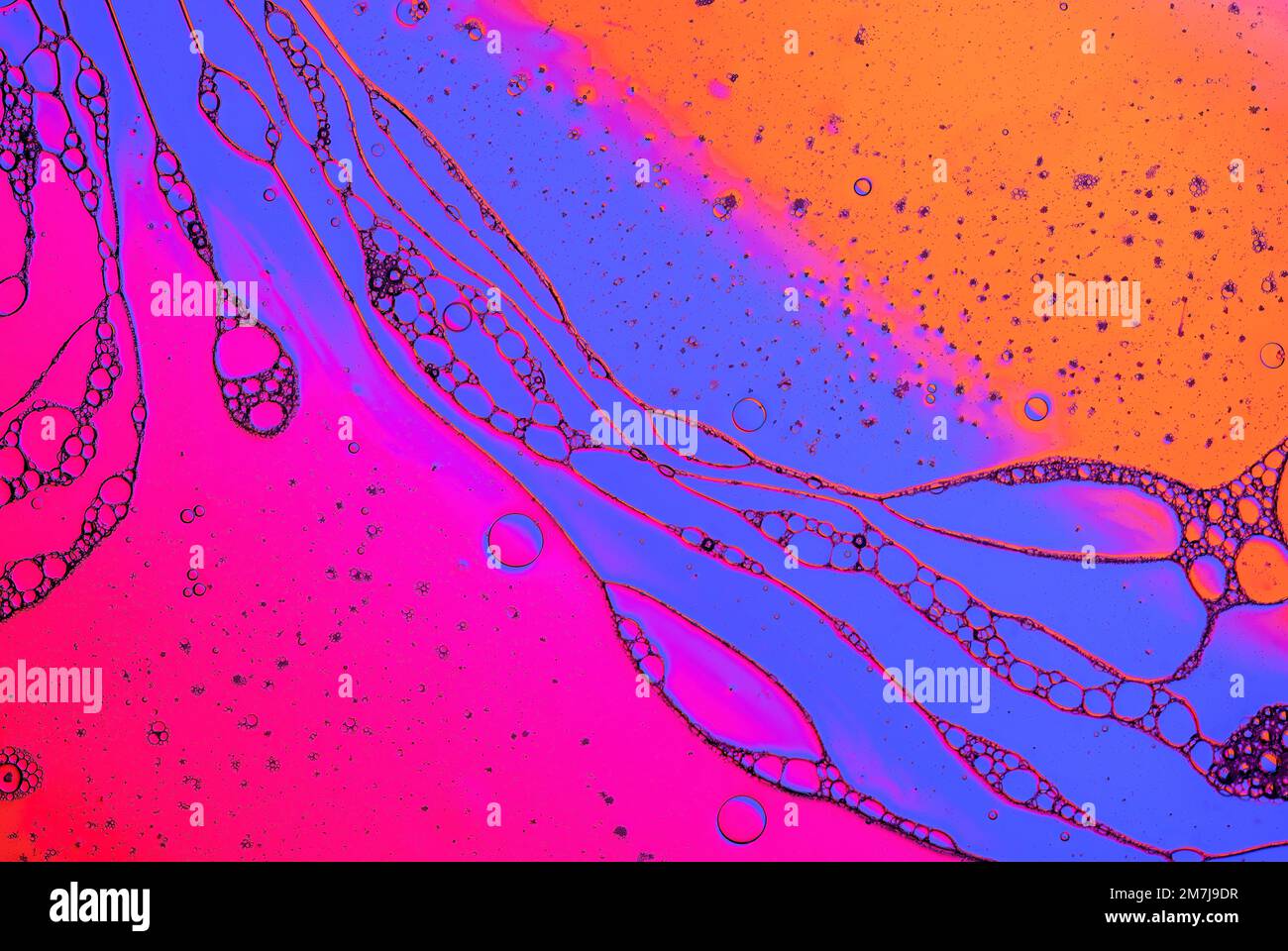 Colourful light diffraction patterns formed by oil droplets floating on ...