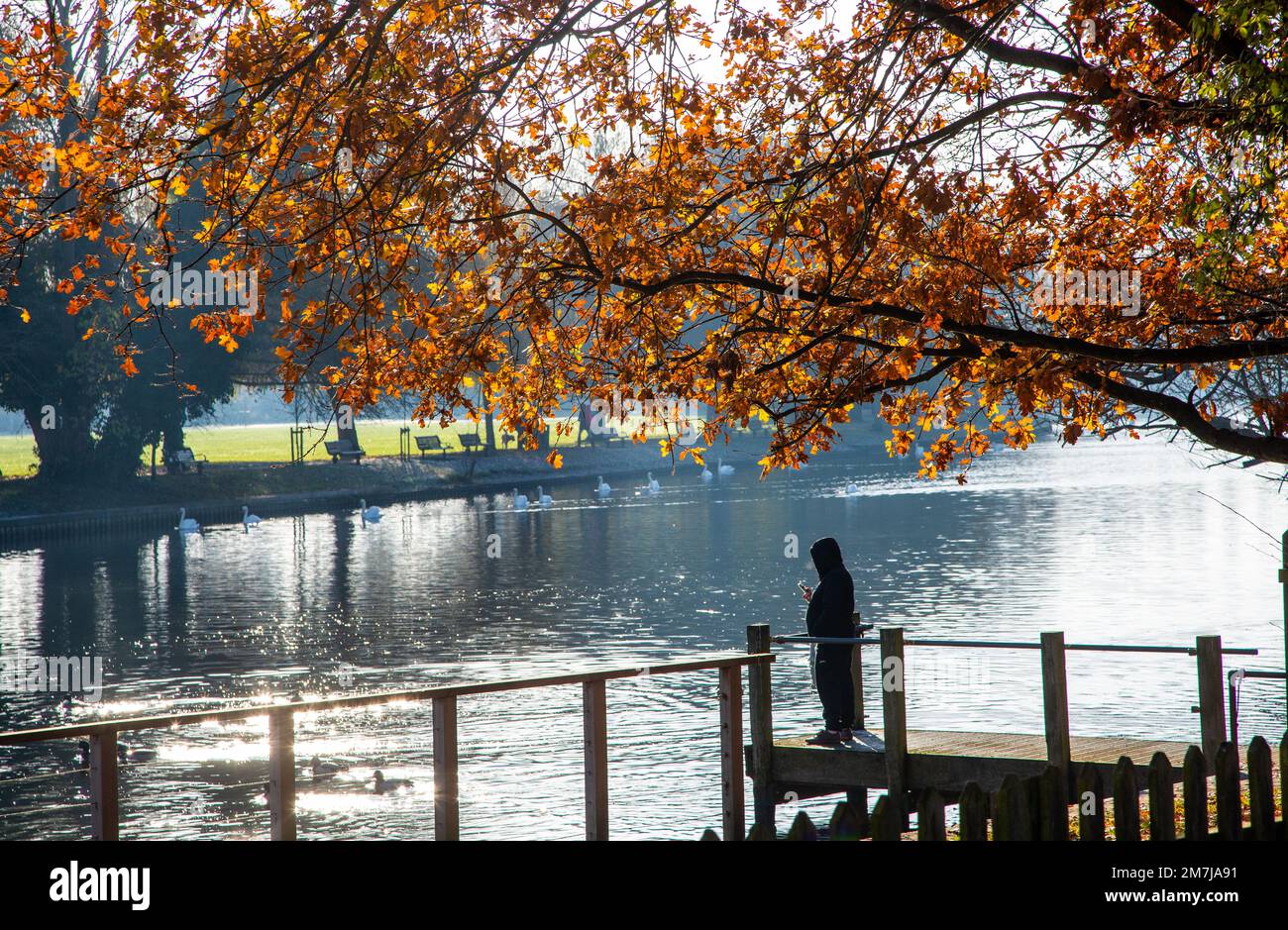 Man standing on a landing stage over the river Avon in the Warwickshire town of Stratford on Avon Stock Photo