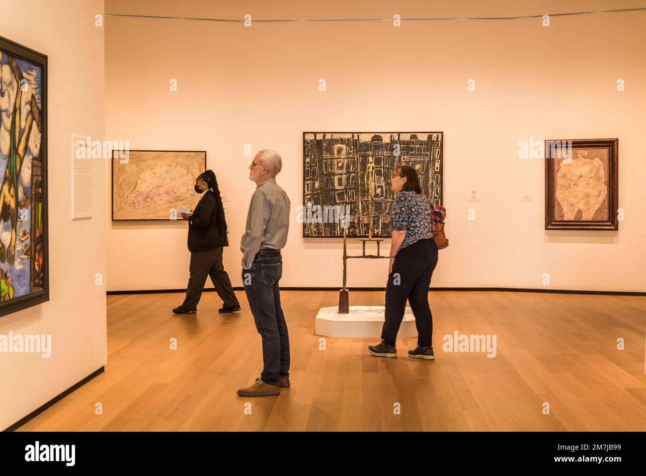 Young Caucasian People In An Art Gallery Looking At Paintings And Talking  About Them Stock Photo, Picture and Royalty Free Image. Image 22573792.