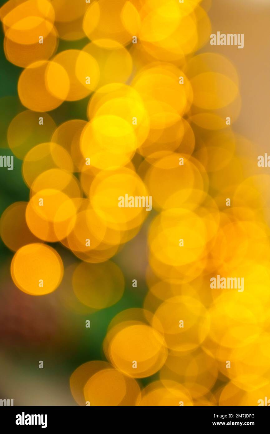 Christmas lights abstract golden background in blur Stock Photo - Alamy