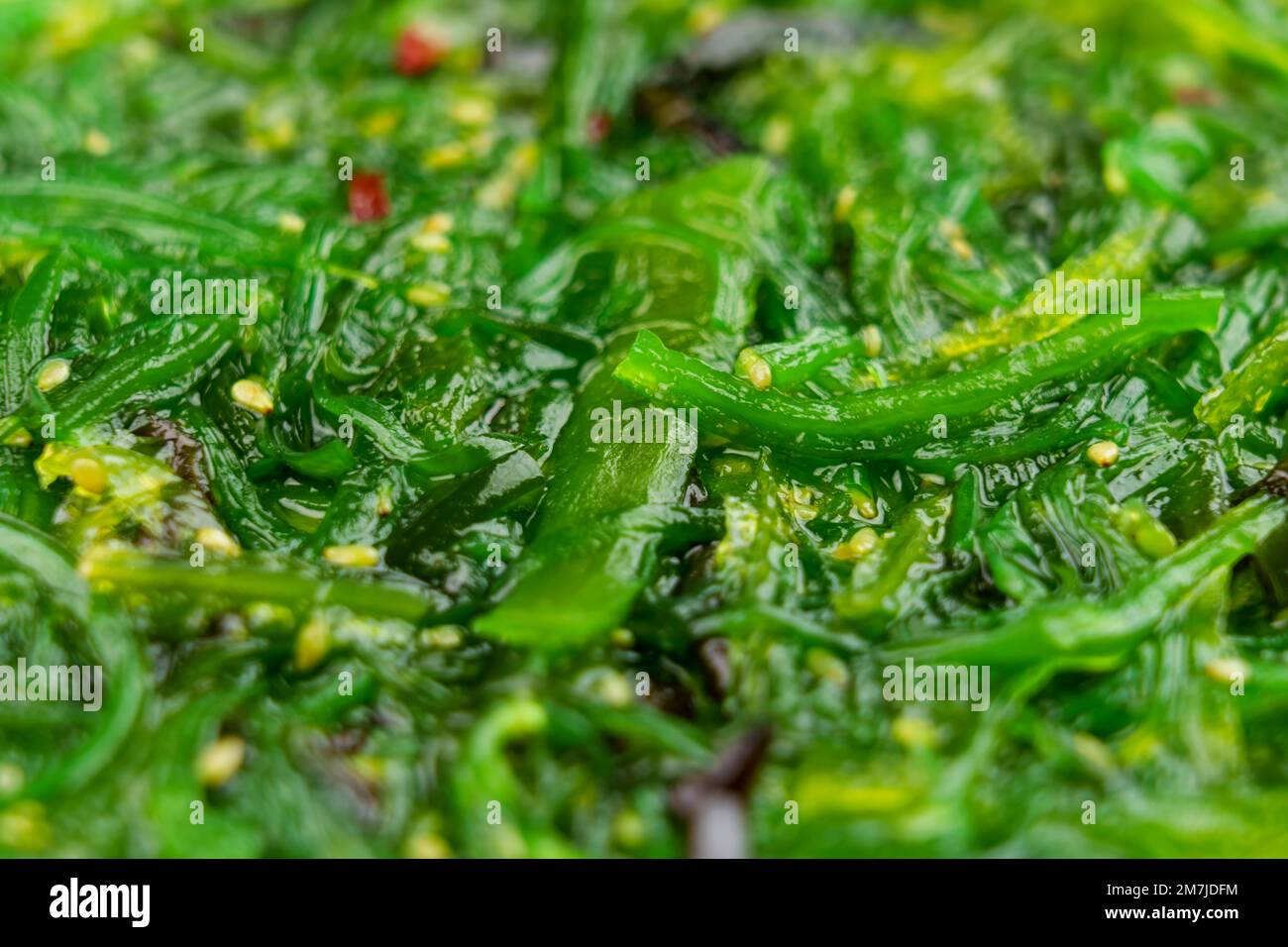 Japanese Wakame seaweed salad. Macro shot Stock Photo