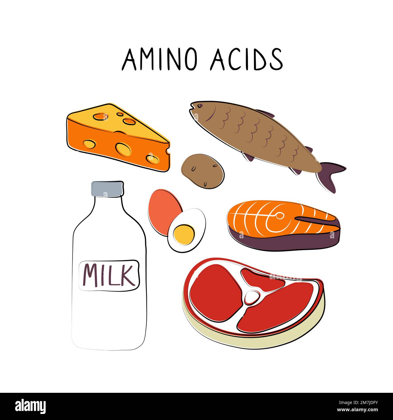 Amino acidscontaining food. Groups of healthy products containing
