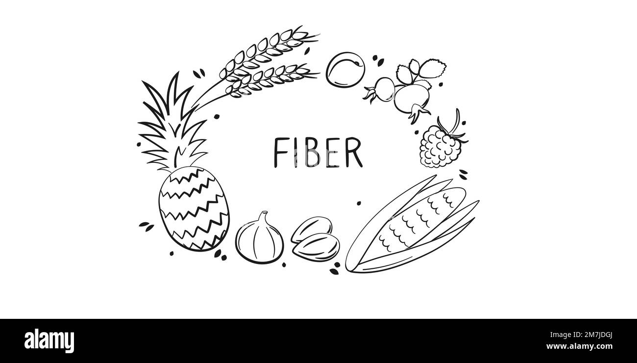 Fibercontaining food. Groups of healthy products containing vitamins