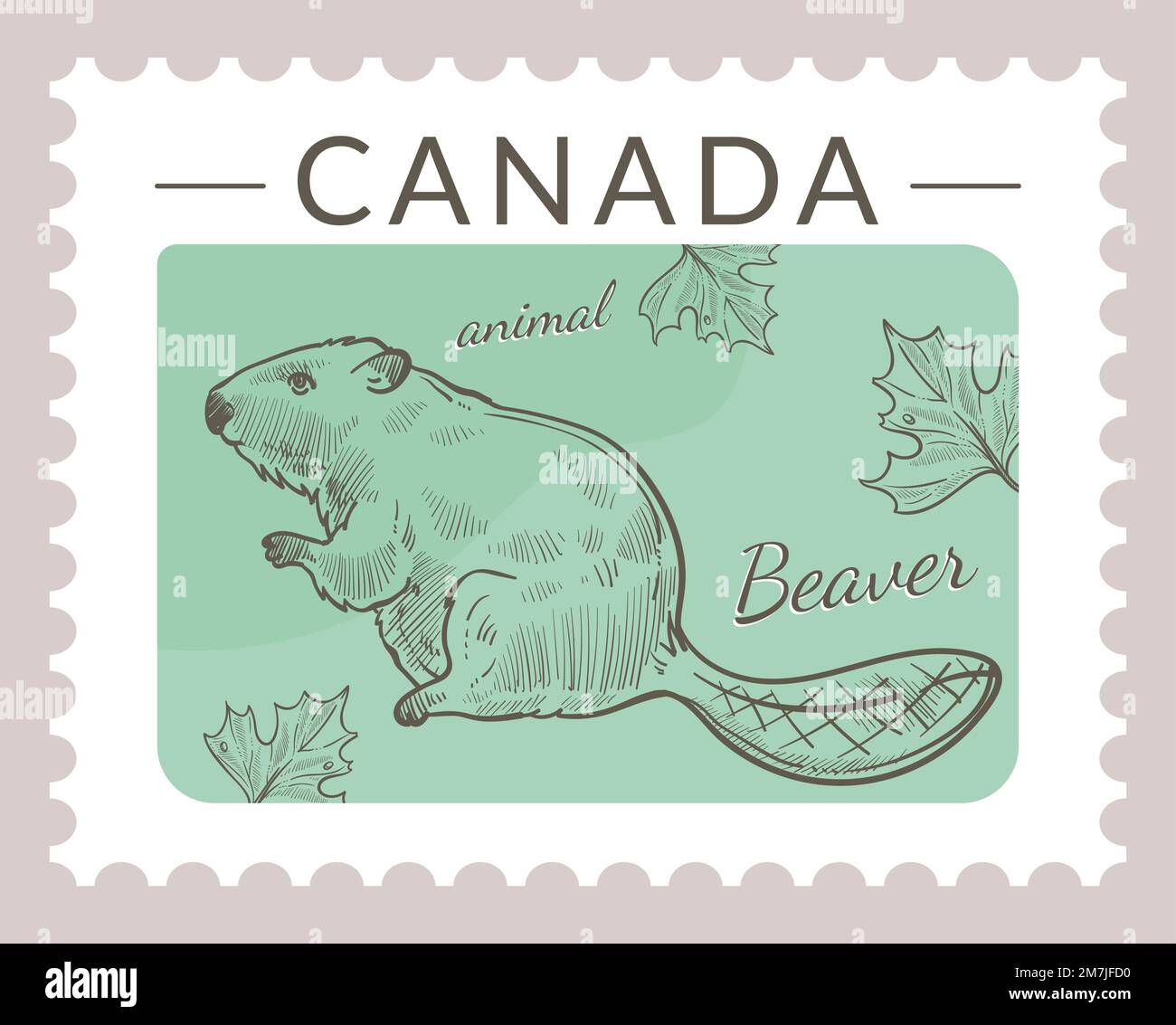 Canada postmark, beaver animal on postcard vector Stock Vector