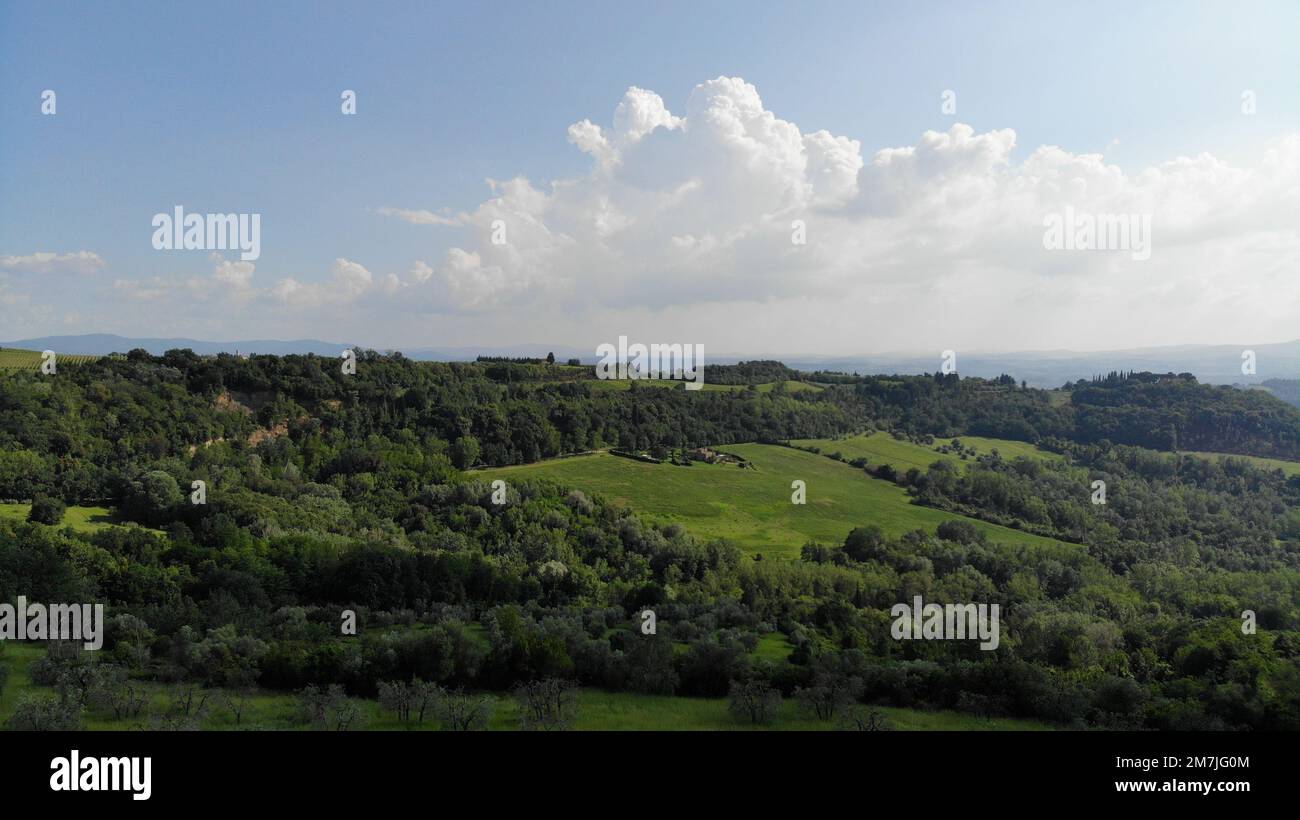 An aerial view of forest surrounded by dense trees Stock Photo - Alamy