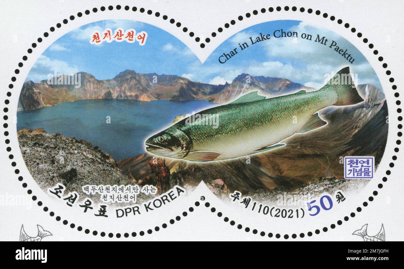 2021 North Korea round stamp series. Natural Monuments.Char, Salvelinus alpinus in Lake Chon on Mt Paektu Stock Photo