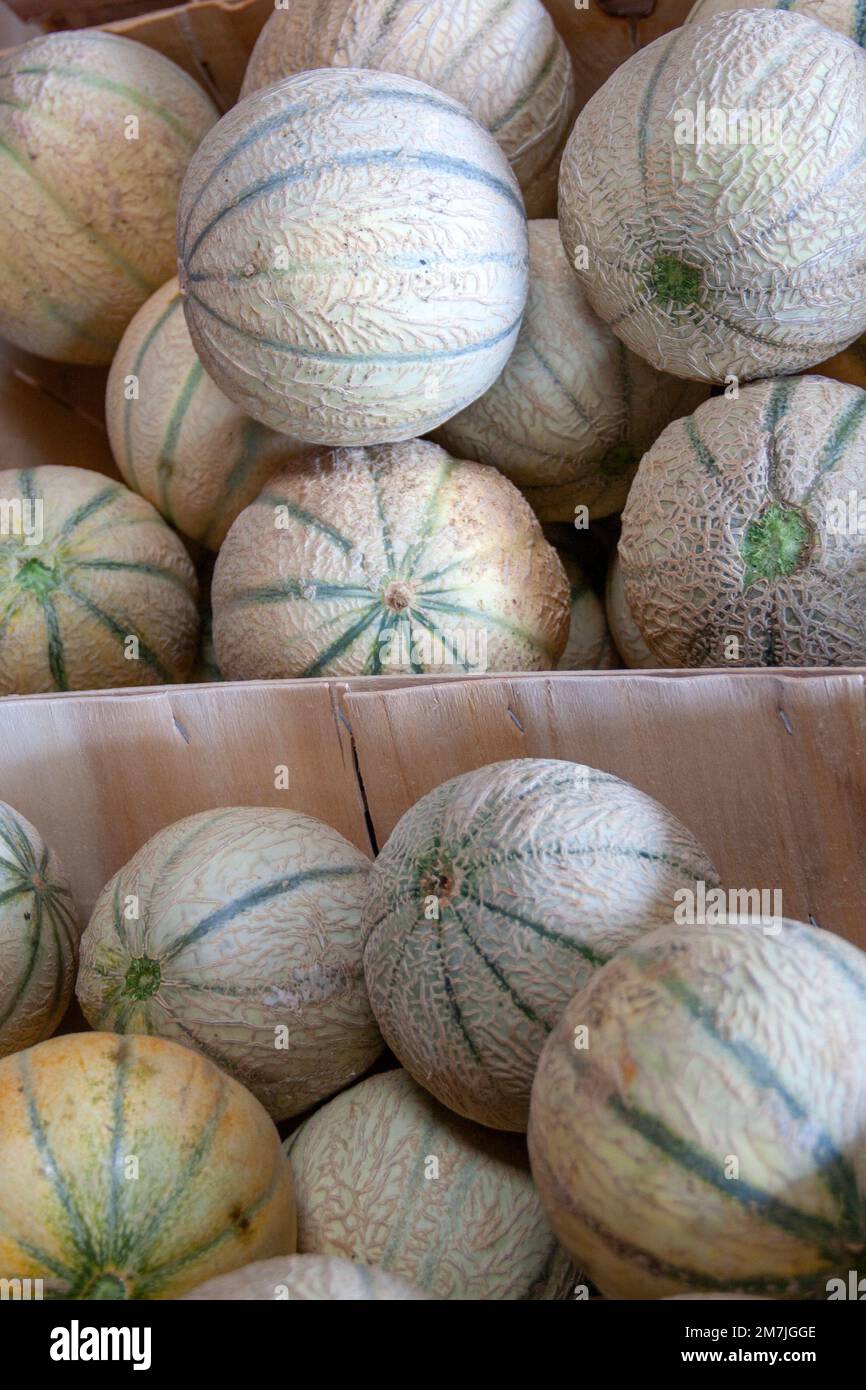 Melons en cageots destinés à la vente Stock Photo