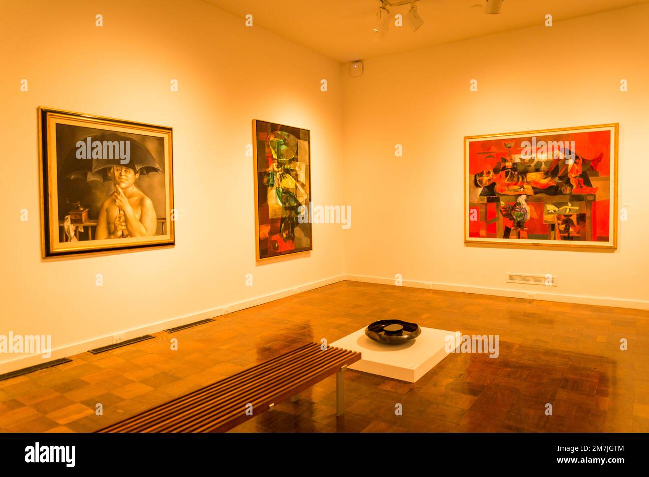 Art Museum of the Americas, the first art museum in the United States