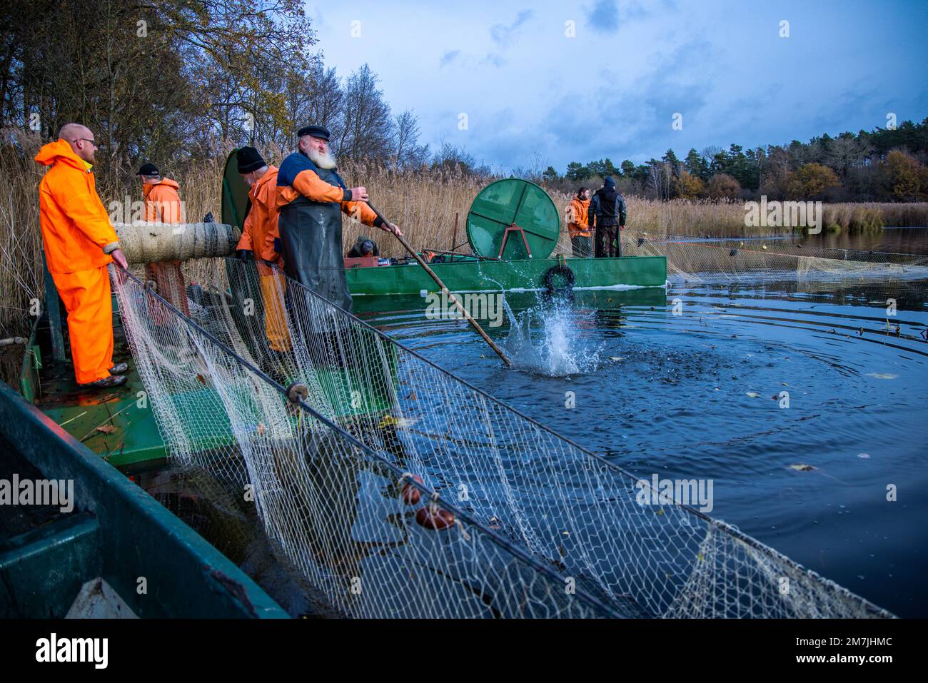 https://c8.alamy.com/comp/2M7JHMC/19-november-2022-mecklenburg-western-pomerania-alt-schlagsdorf-fisherman-walter-piehl-center-and-his-helpers-take-the-hauling-net-out-of-the-water-of-lake-neuschlagsdorf-three-weeks-after-the-start-of-the-carp-season-however-the-christmas-carp-are-not-yet-going-into-the-net-in-mecklenburg-only-grass-carp-and-pike-are-wriggling-in-the-fishing-gear-piehl-a-65-year-old-former-deep-sea-fisherman-is-one-of-the-very-few-fishermen-in-mecklenburg-vorpommern-who-catch-carp-in-natural-lakes-using-towed-nets-photo-jens-bttnerdpa-2M7JHMC.jpg