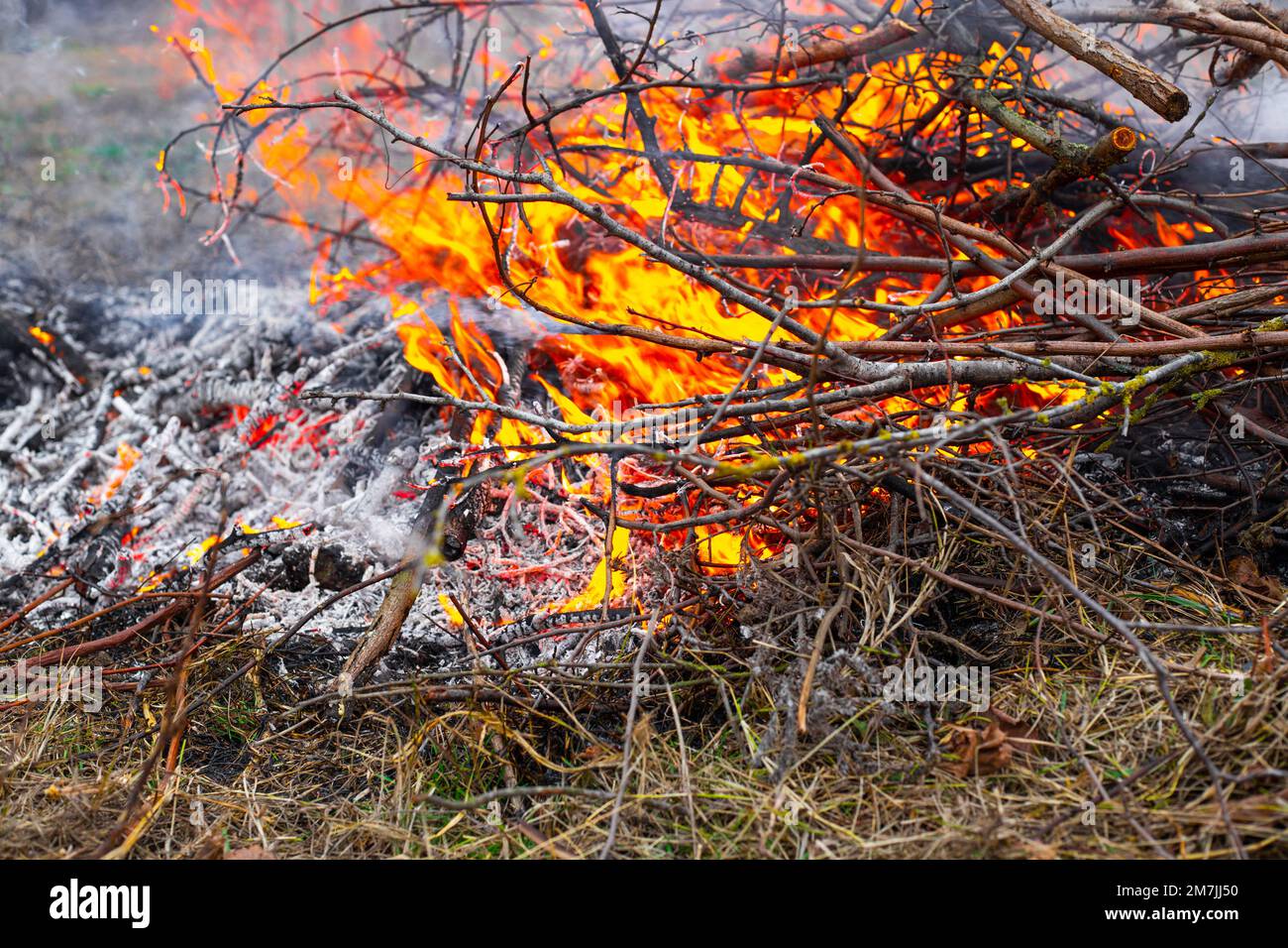 Burning of garden waste on the site. Safety rules with a burning fire