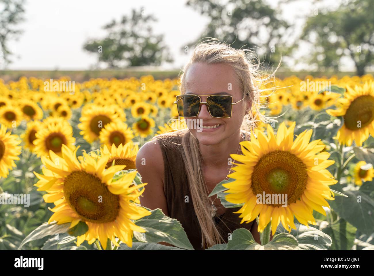 Beautiful woman in sunflower field at sunset enjoying summer nature ...