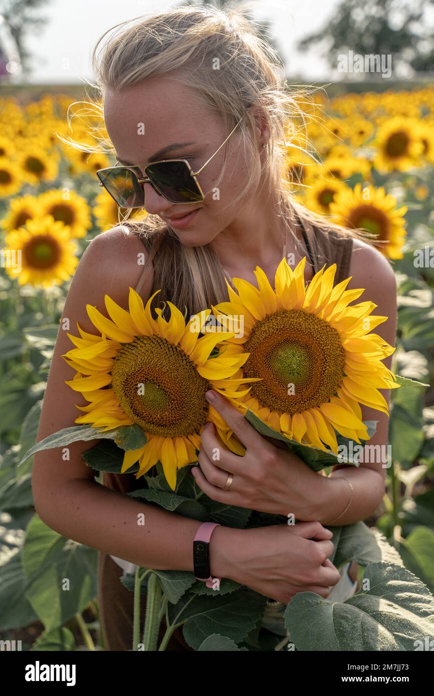 Beautiful woman in sunflower field at sunset enjoying summer nature ...