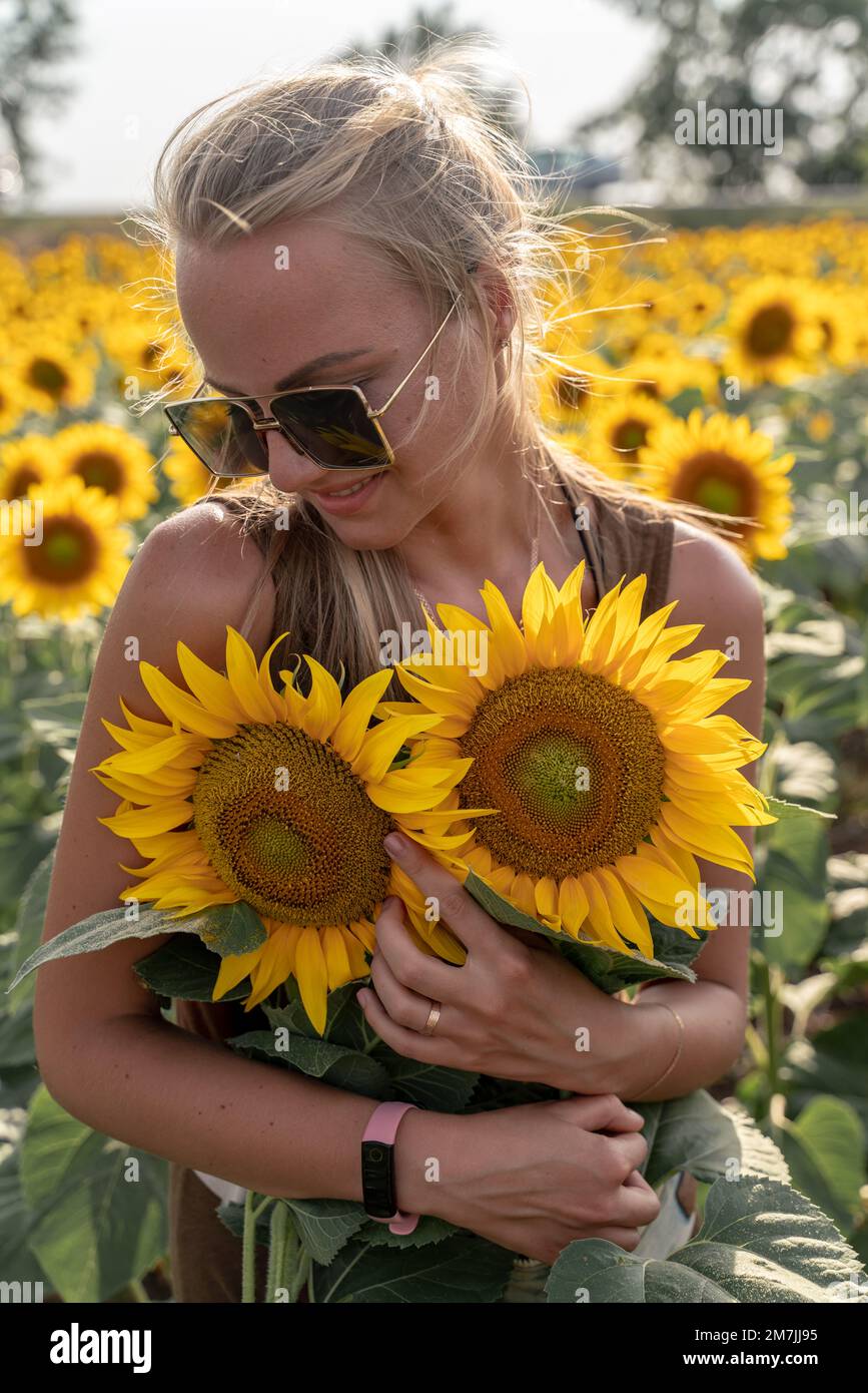 Beautiful woman in sunflower field at sunset enjoying summer nature ...