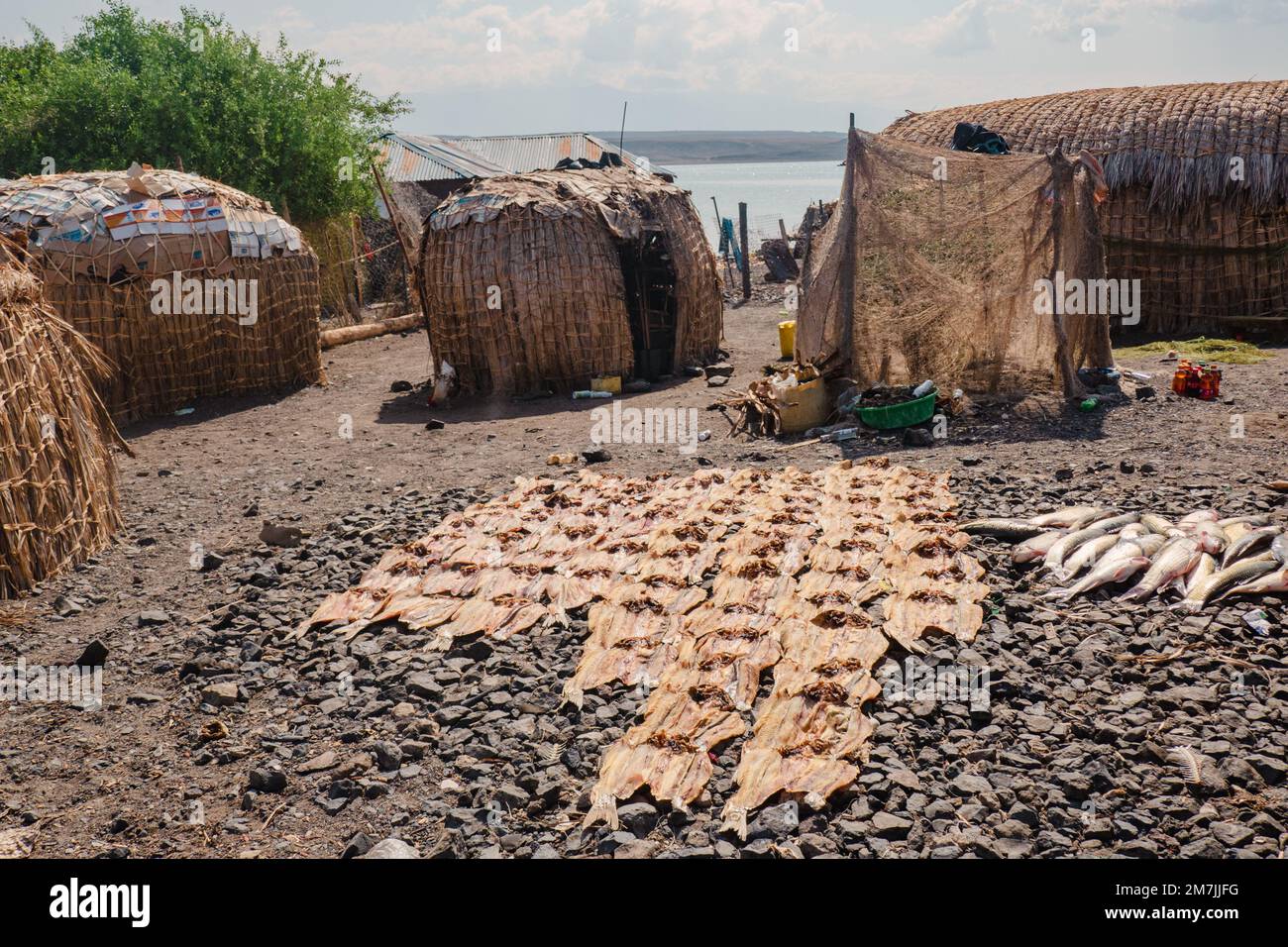 Traditional houses of the El Molo people in El Molo village living at the shores of Lake Turkana, Kenya Stock Photo