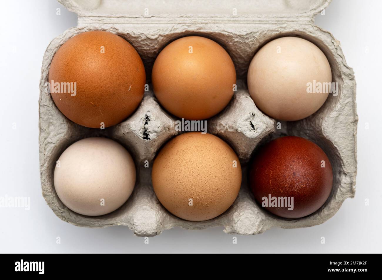 Organic eggs Stock Photo