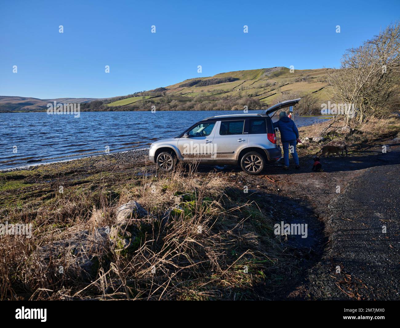 From the northern shore of Semerwater, looking north west towards Green Scar  Mire Crag. Adult female disembarking dogs from Skoda Yeti. Raydale Stock  Photo - Alamy