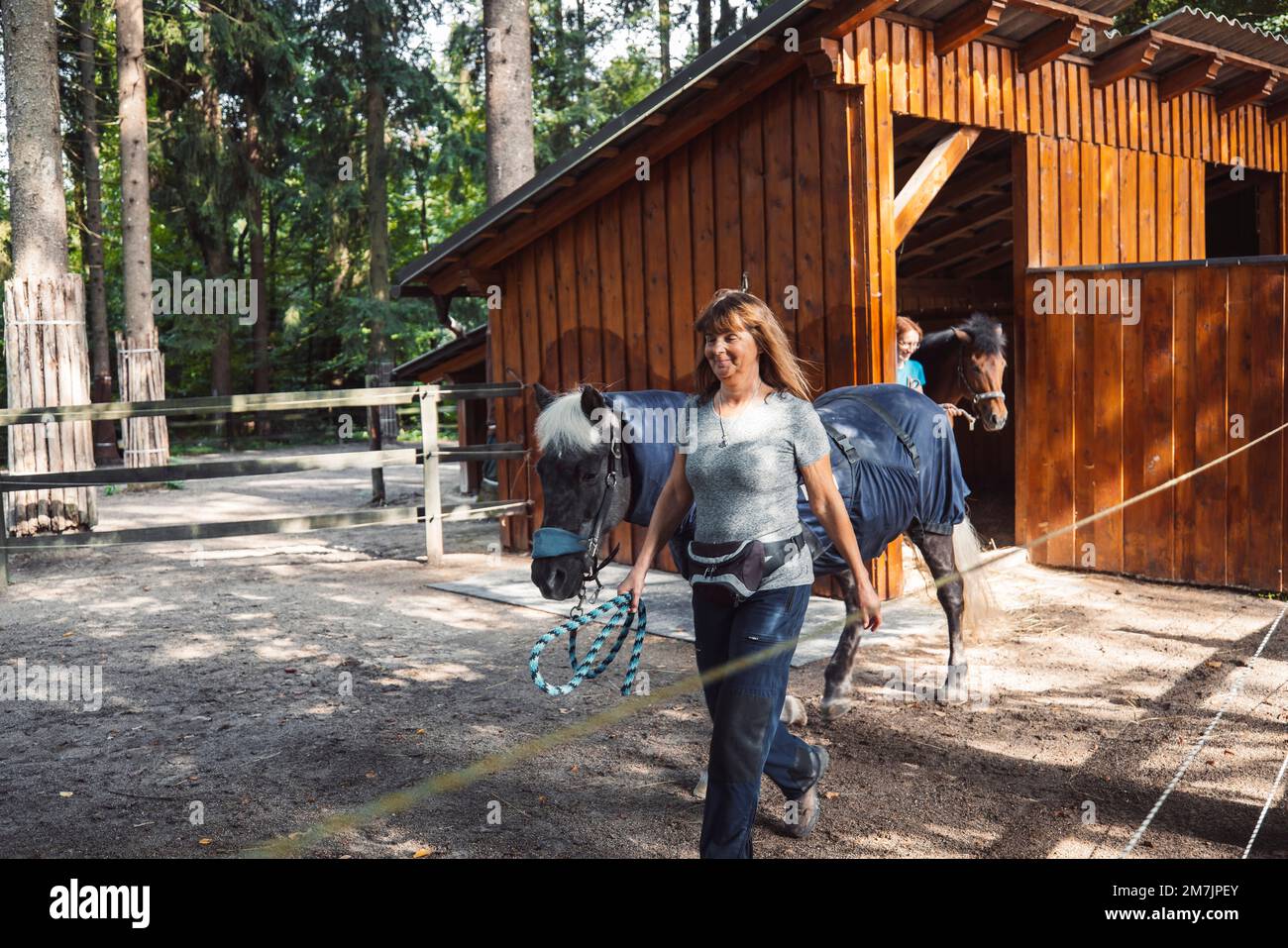 Woman training a horse at the ranch  Stock Photo