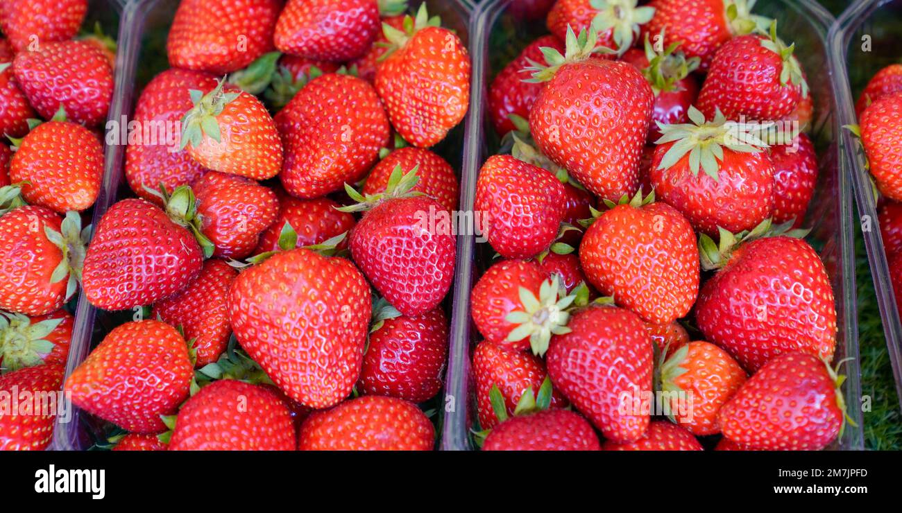 Strawberries in tray at market hi-res stock photography and images - Alamy