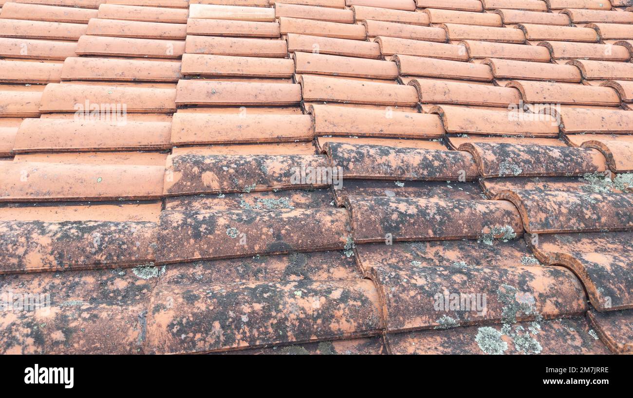 Comparison Roof tiles clean moss and lichen before and after cleaning