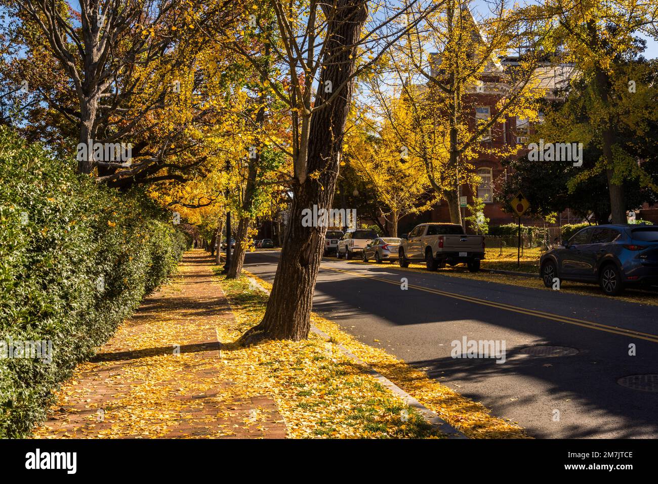 Autumn in the neighbourhood hires stock photography and images Alamy