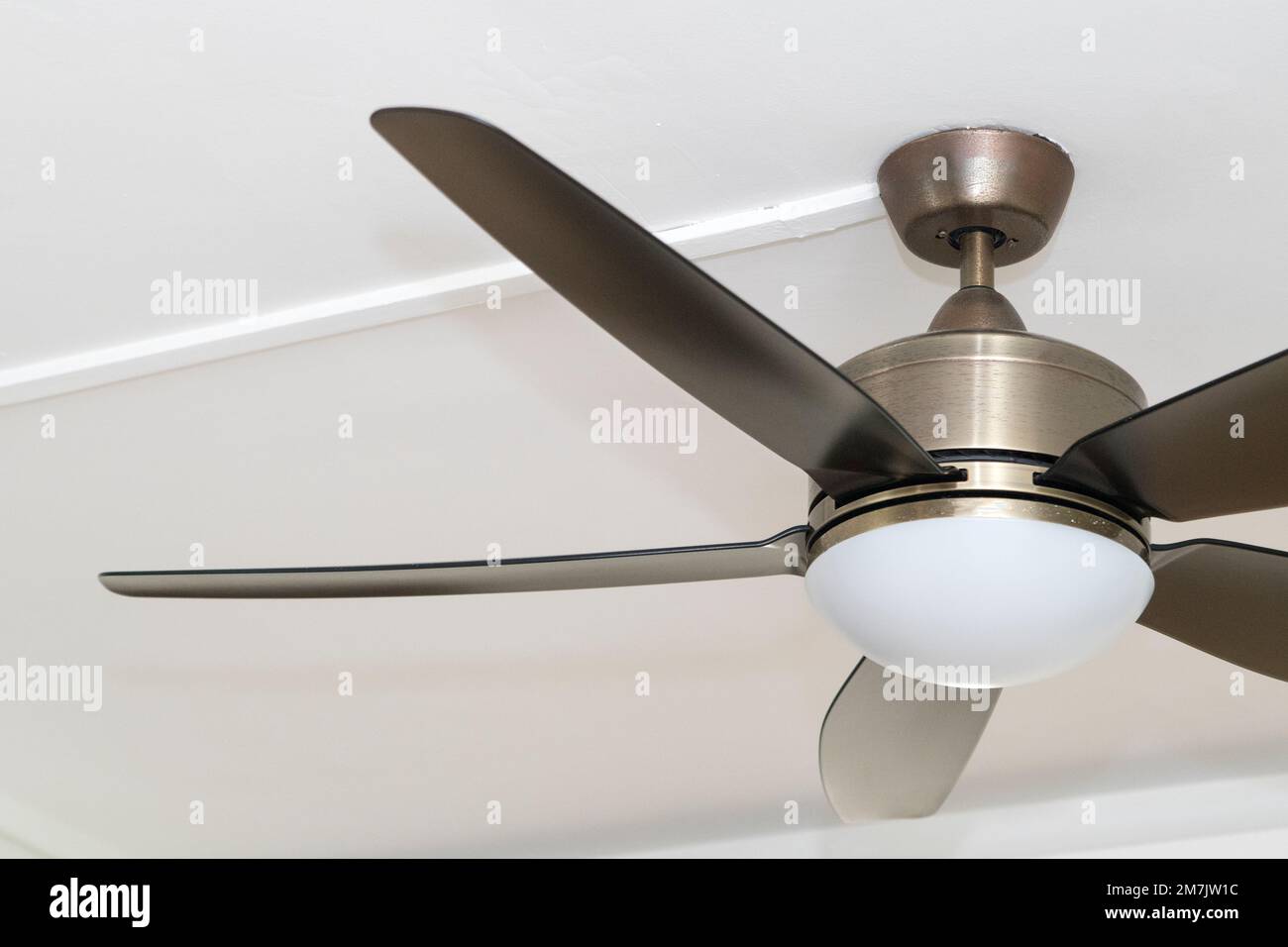 Ceiling fan with five blades hangs from white ceiling Stock Photo Alamy