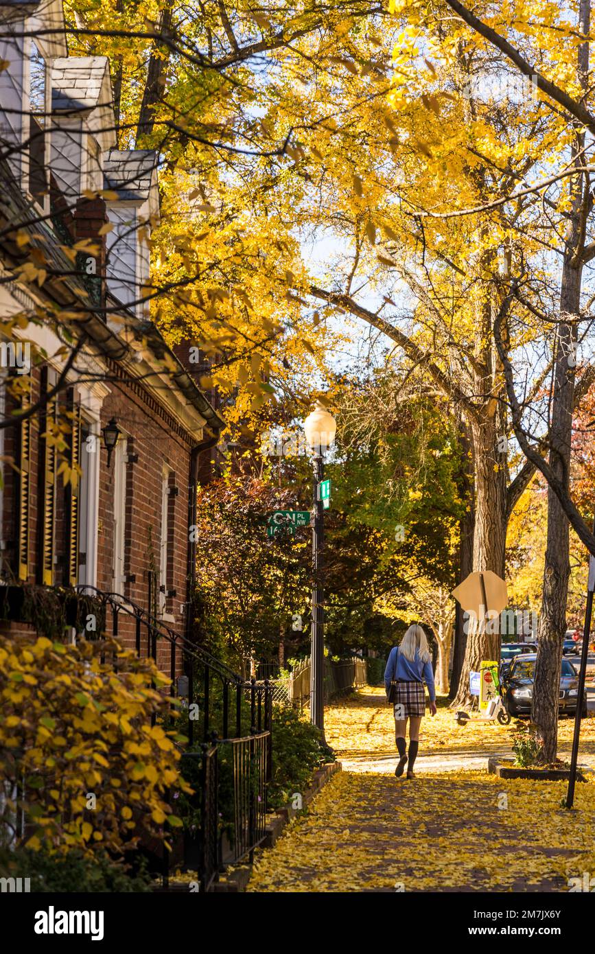 Georgetown Rd Residential street in Georgetown, a plush, historic neighbourhood, and ...