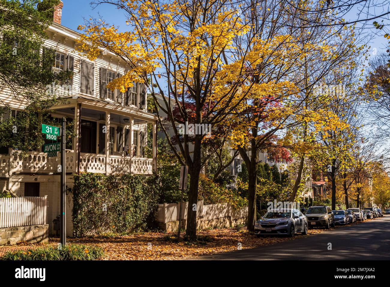 Georgetown Rd Residential street, in Georgetown, a plush, historic neighbourhood, and ...