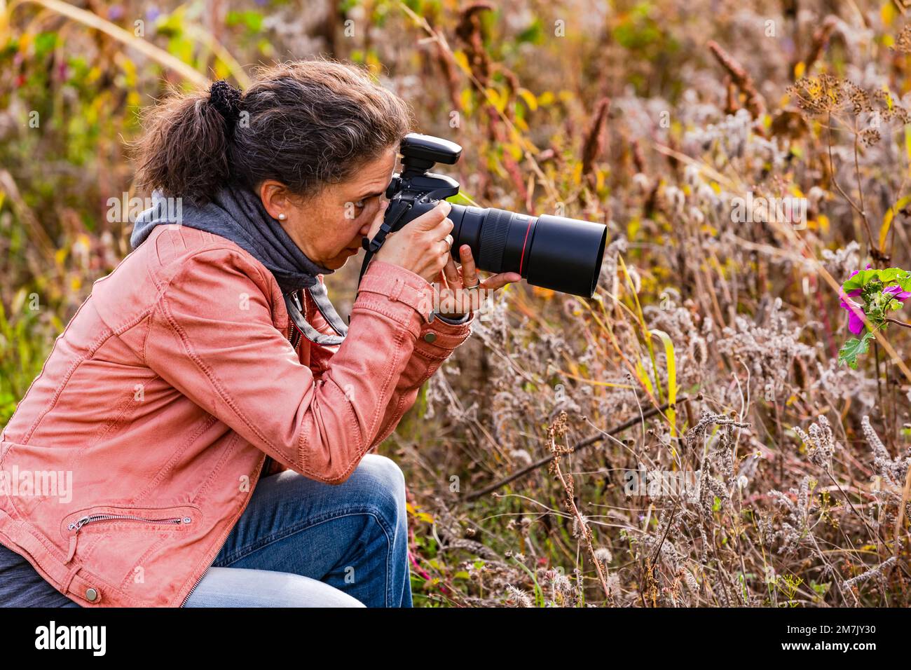 Attractive amateur female photographer in hi-res stock photography and  images - Alamy