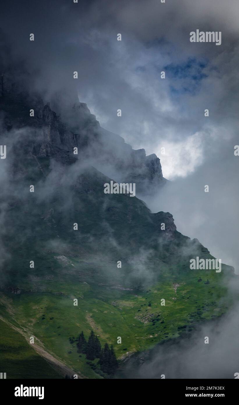 A vertical shot of rocky mountains covered in greenery and fog in the ...