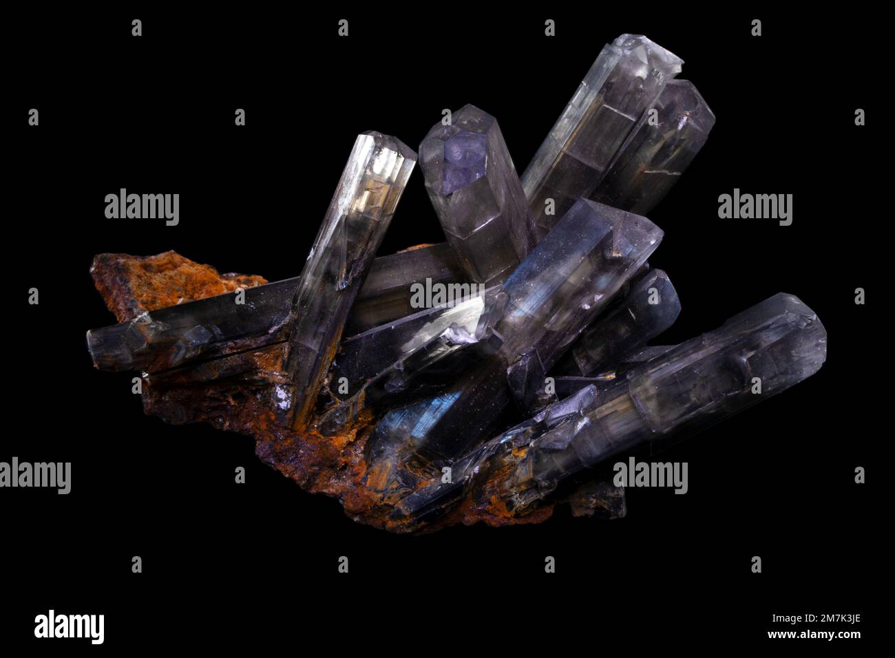 Rocks and Minerals, Gypsum crystal, laboratory sample Stock Photo Alamy