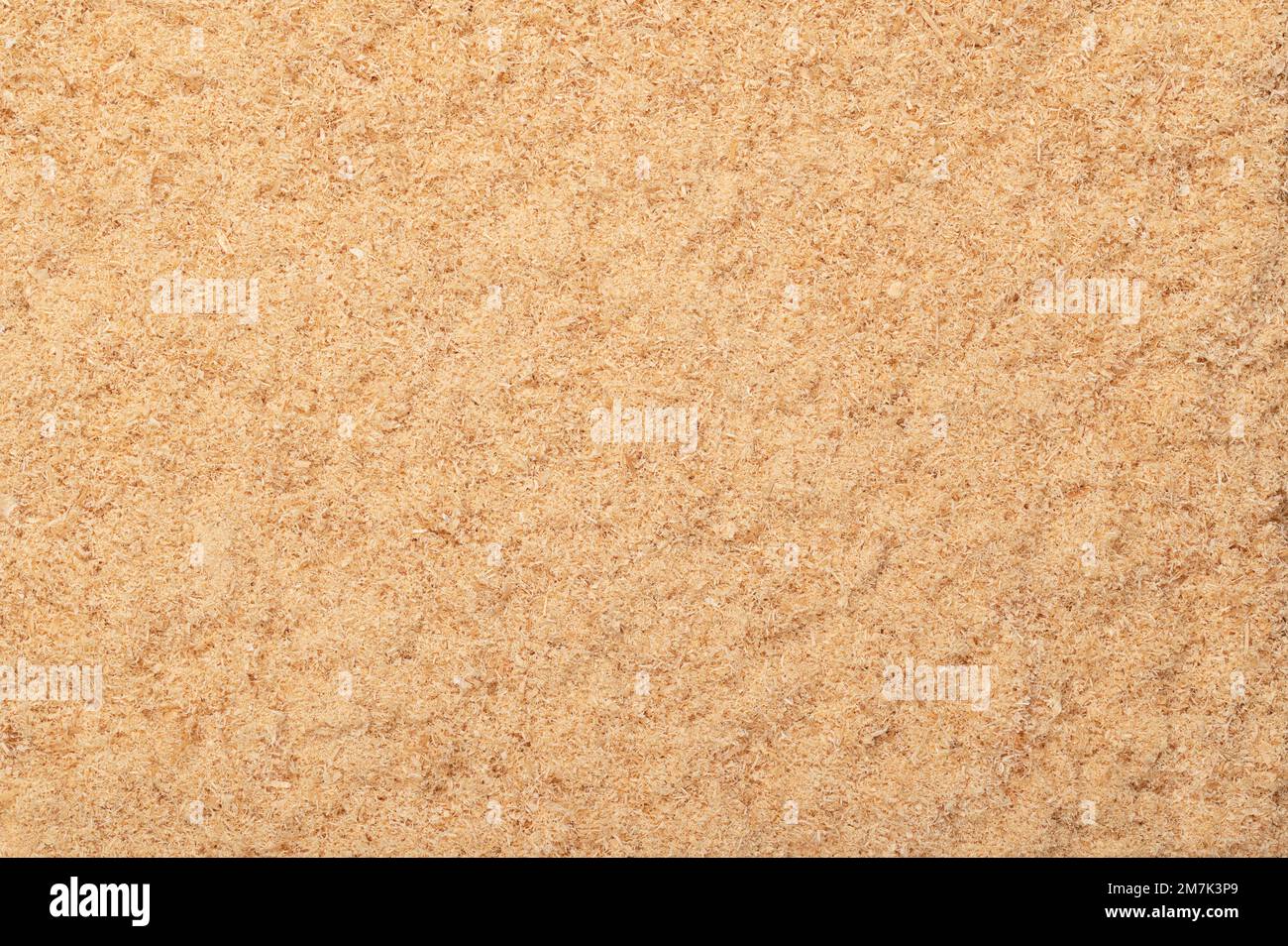 Fine sawdust, a wood flour and powder, formed by sawing dried spruce. Finely pulverized wood, a by-product and waste product, mainly used as additive. Stock Photo