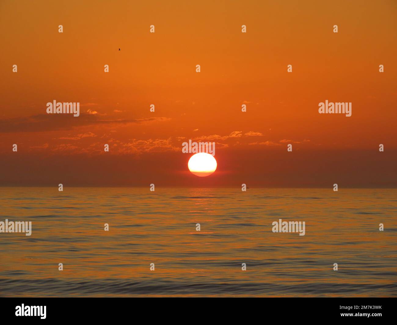 A breathtaking sunrise view with the orange sky above the ocean in ...