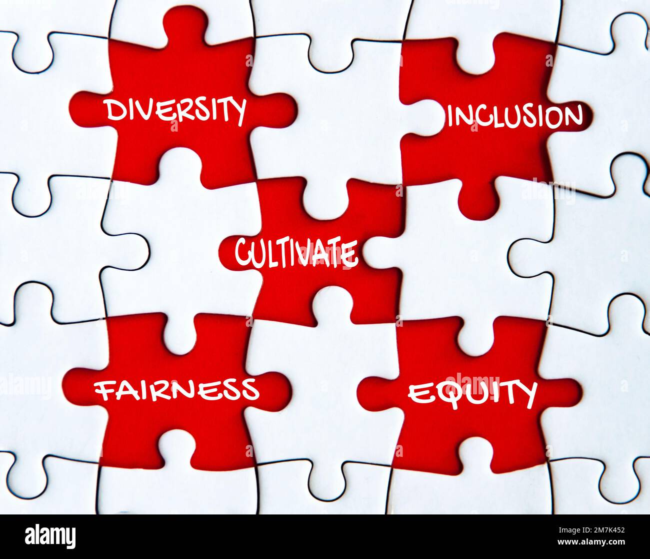 Cultivate diversity, inclusion, fairness and equity text on missing jigsaw puzzle Stock Photo