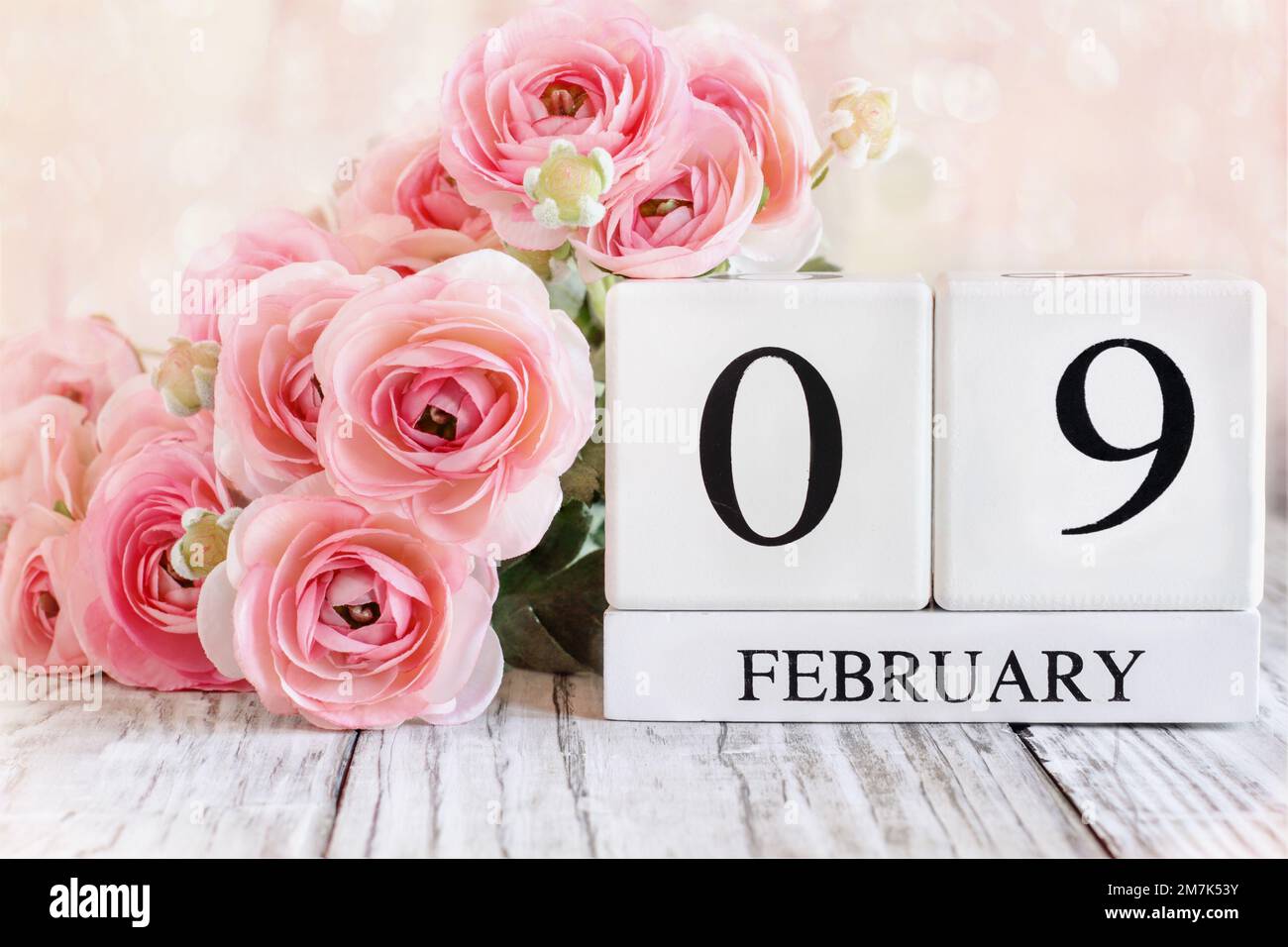 White wood calendar blocks with the date February 9th and pink ranunculus flowers over a wooden table. Stock Photo