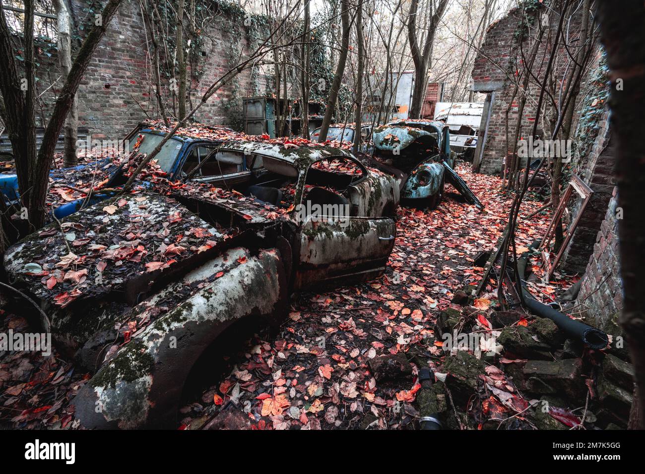 Vintage cars abandoned in scrap hi-res stock photography and images - Alamy