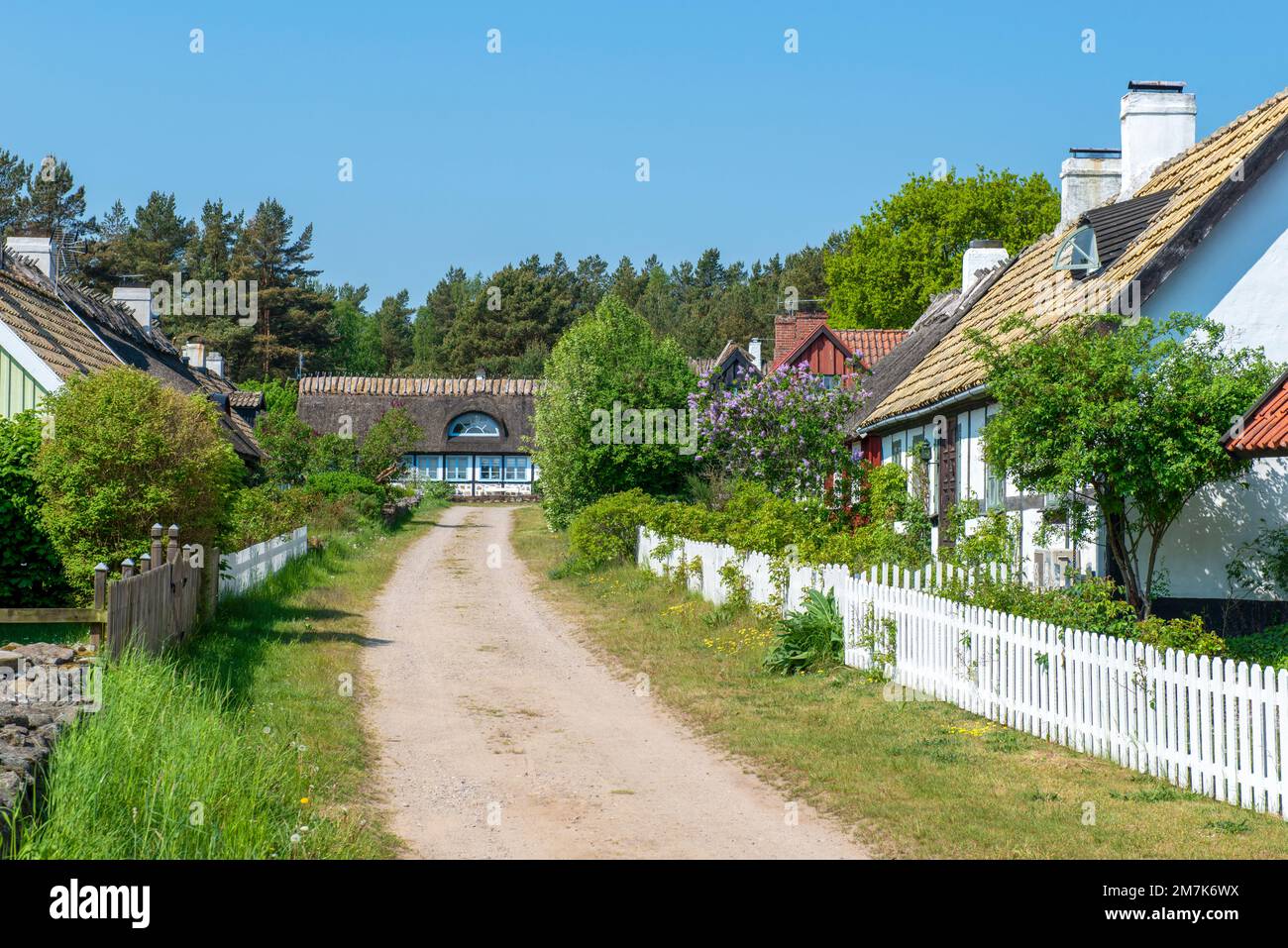 Typical houses in the small village Knäbäckshusen, Österlen, Skåne, Sweden Stock Photo