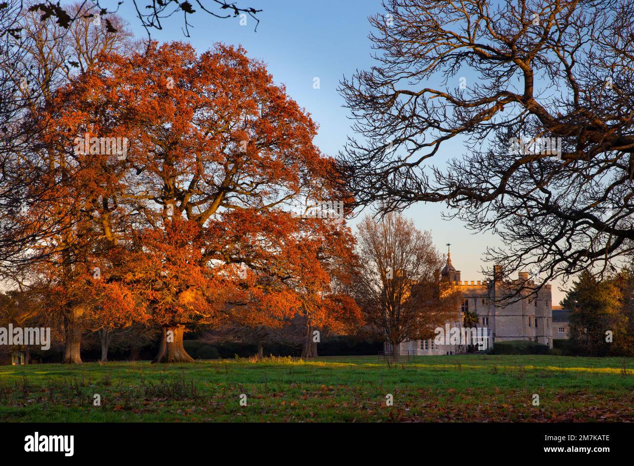Rousham House and grounds in autumn colour, oxfordshire,England,Europe Stock Photo