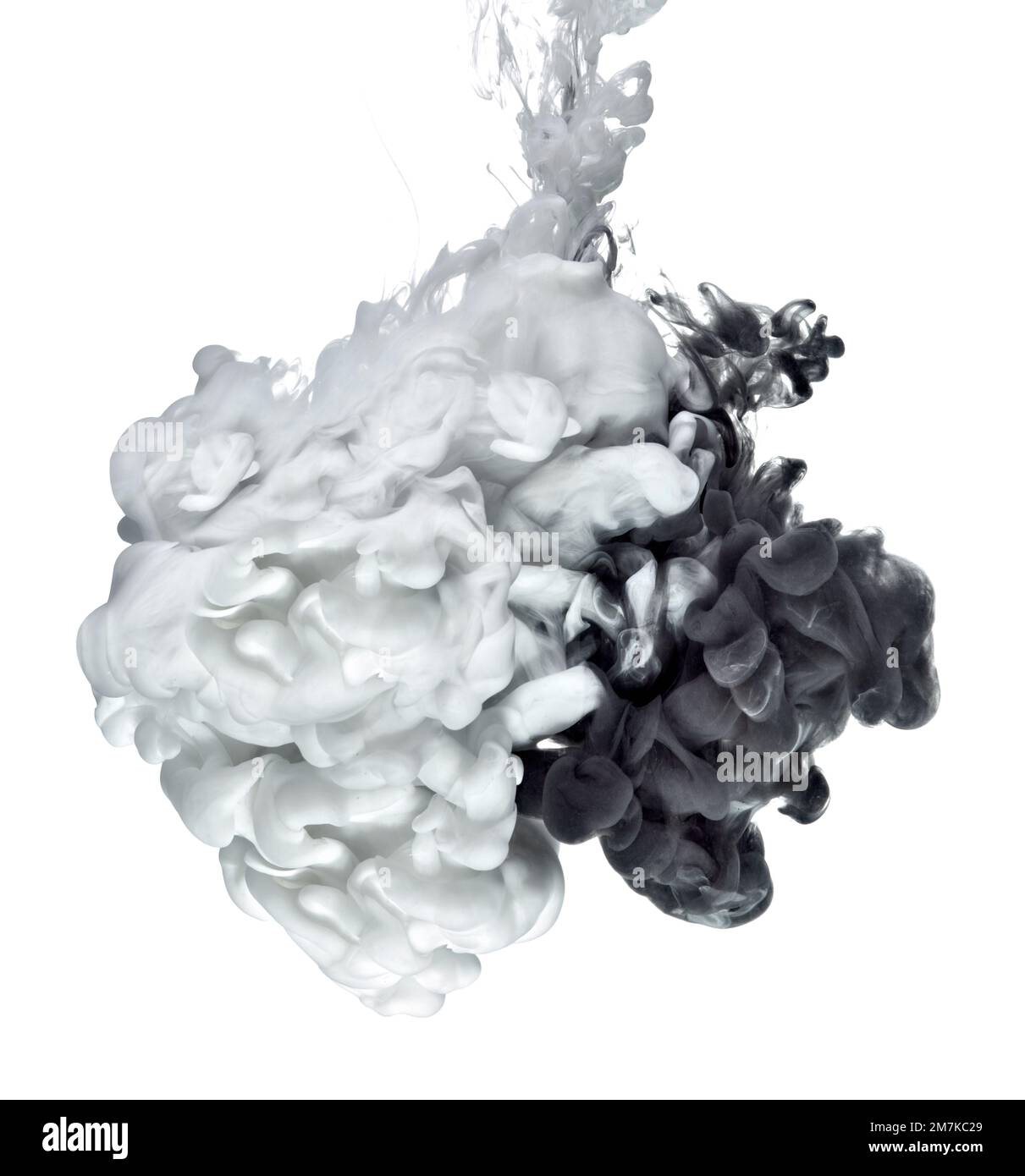 paint in water color liquid white black Stock Photo Alamy