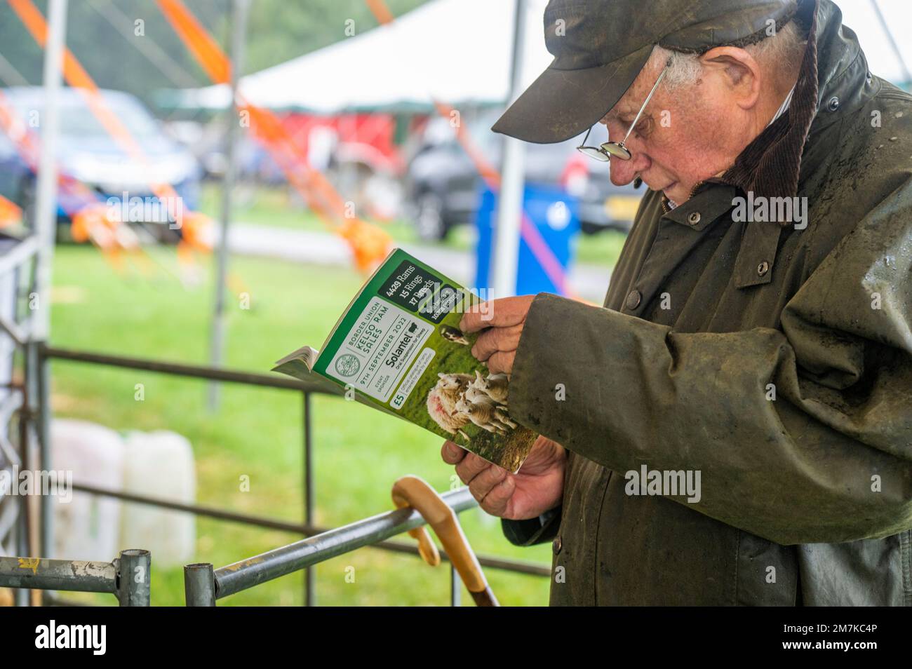 Images of the Kelso Rame Sales 2022. Springwood Park, Border Union