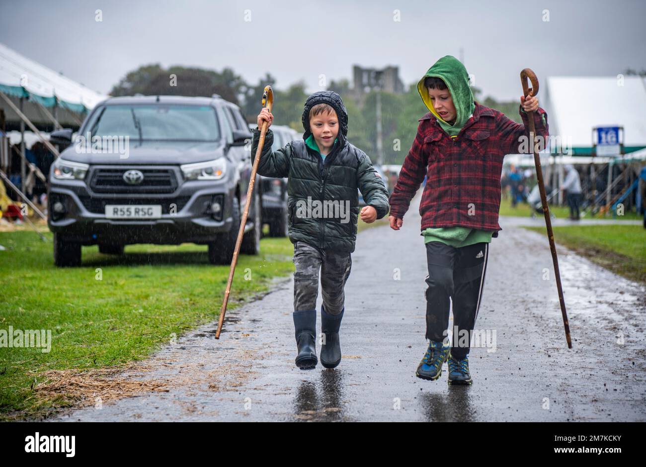 Images of the Kelso Rame Sales 2022. Springwood Park, Border Union