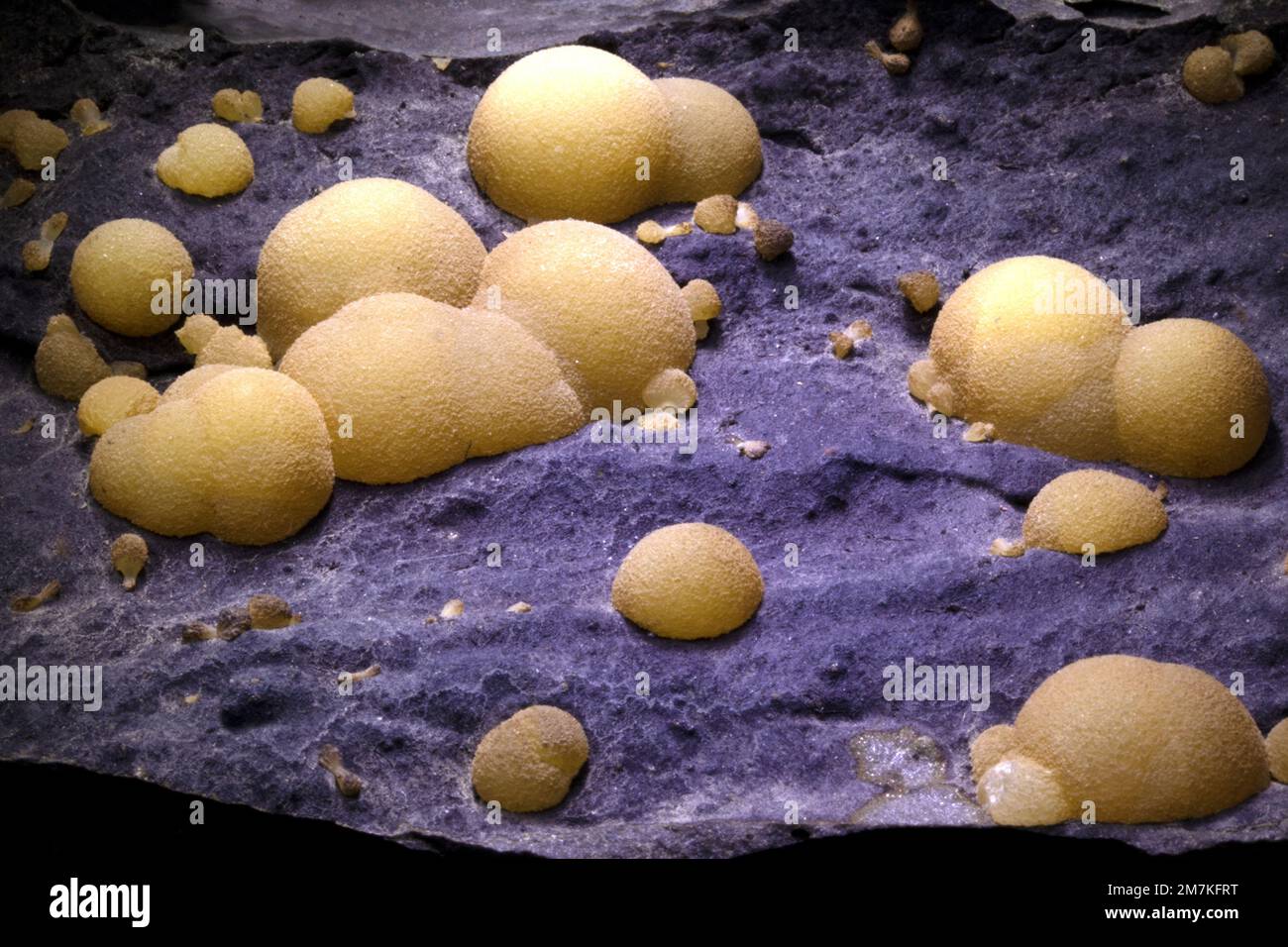 Rocks and Minerals, Aragonite crystal, lab sample Stock Photo Alamy
