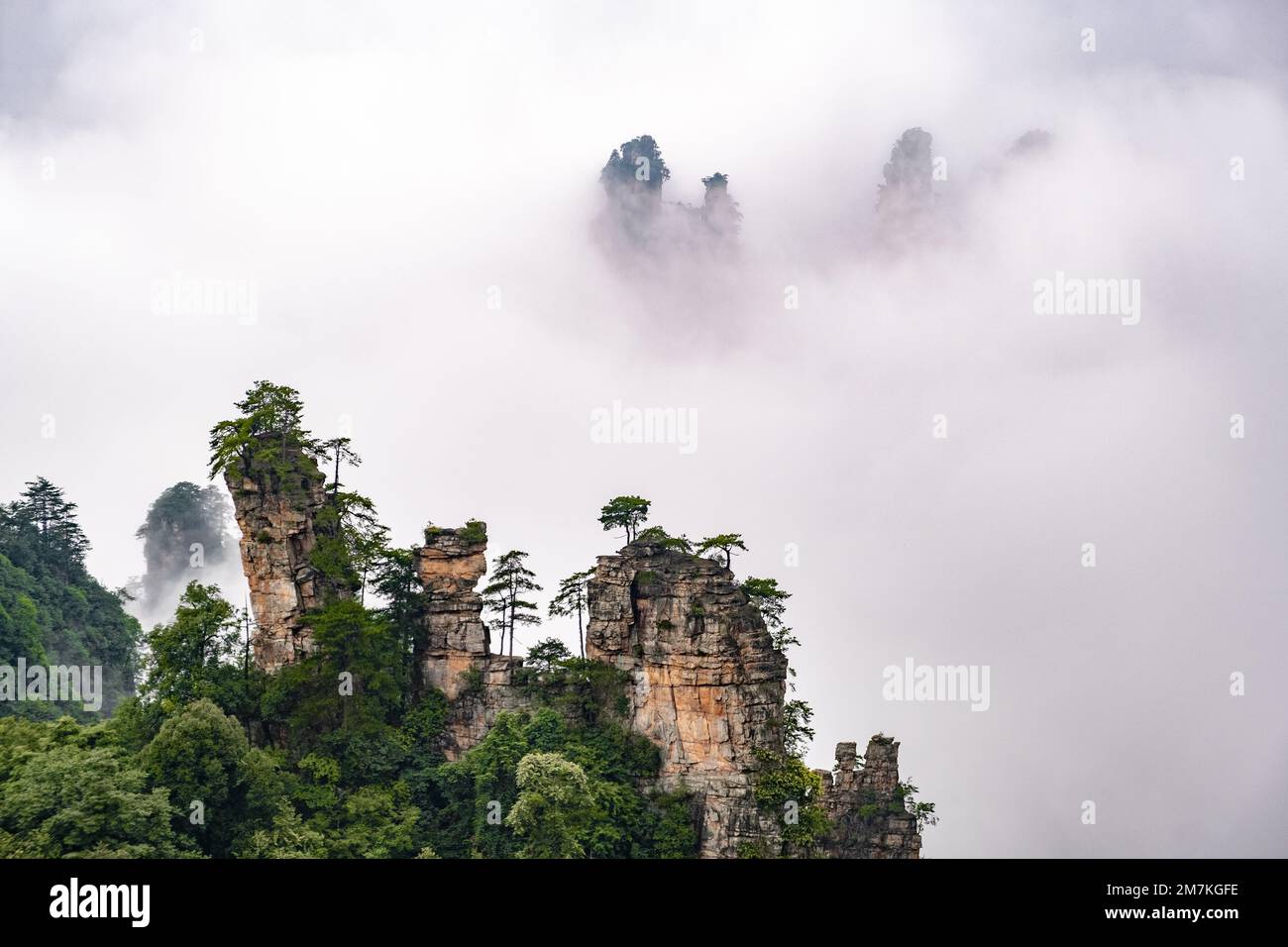 Zhangjiajie National Forest Park. Unique strange-shaped pillar rocks raising into the fog. Avatar Mountain rocks over the foggy clouds background. Stock Photo