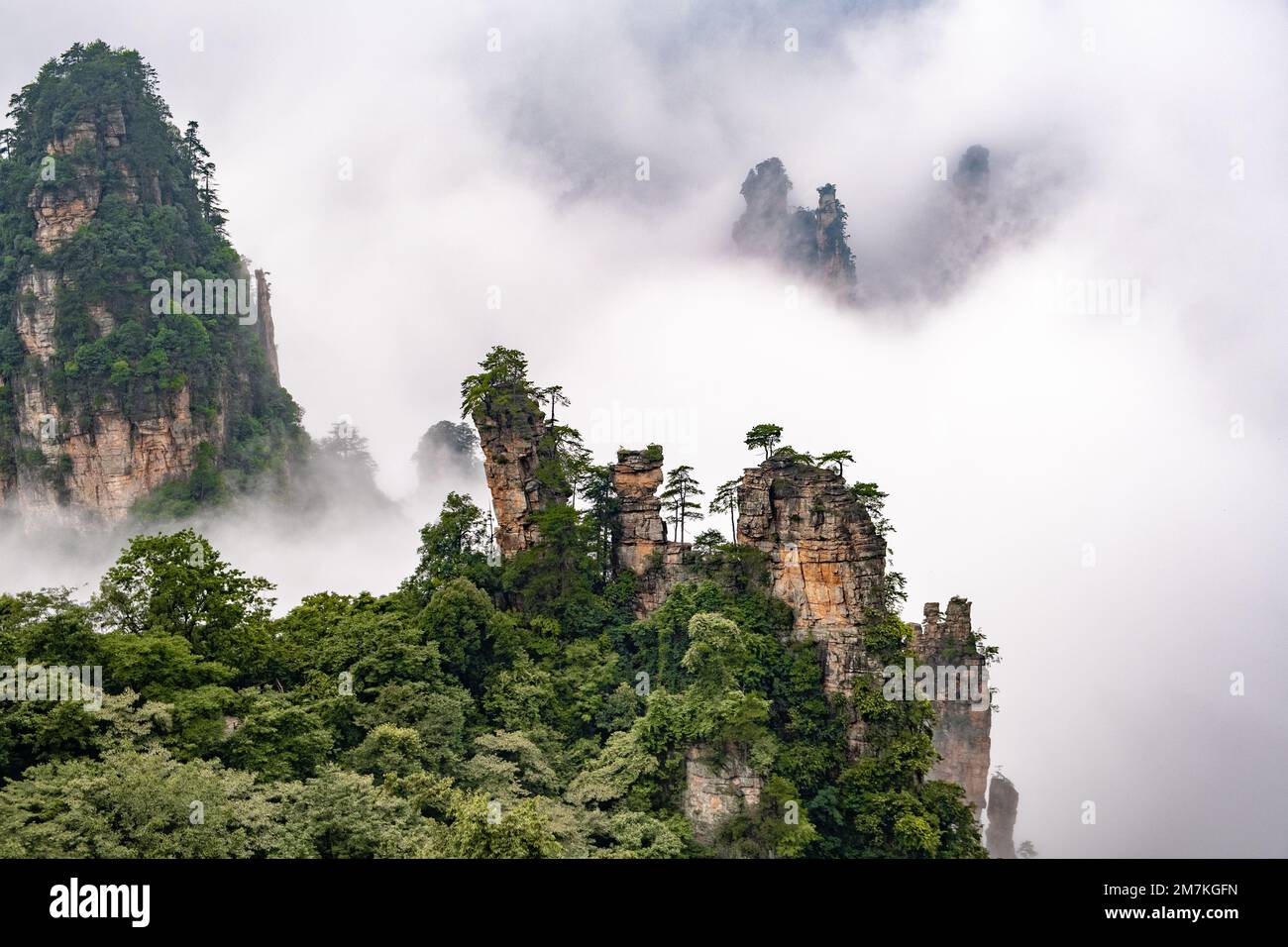Zhangjiajie National Forest Park. Unique strange-shaped pillar rocks ...