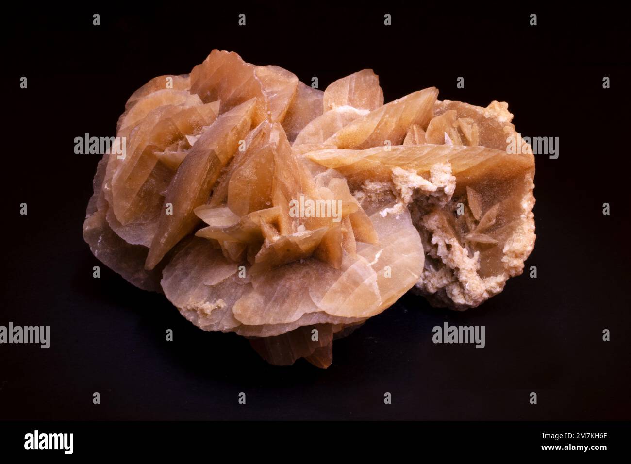 Rocks and Minerals, Desert Rose Crystals laboratory sample Stock Photo