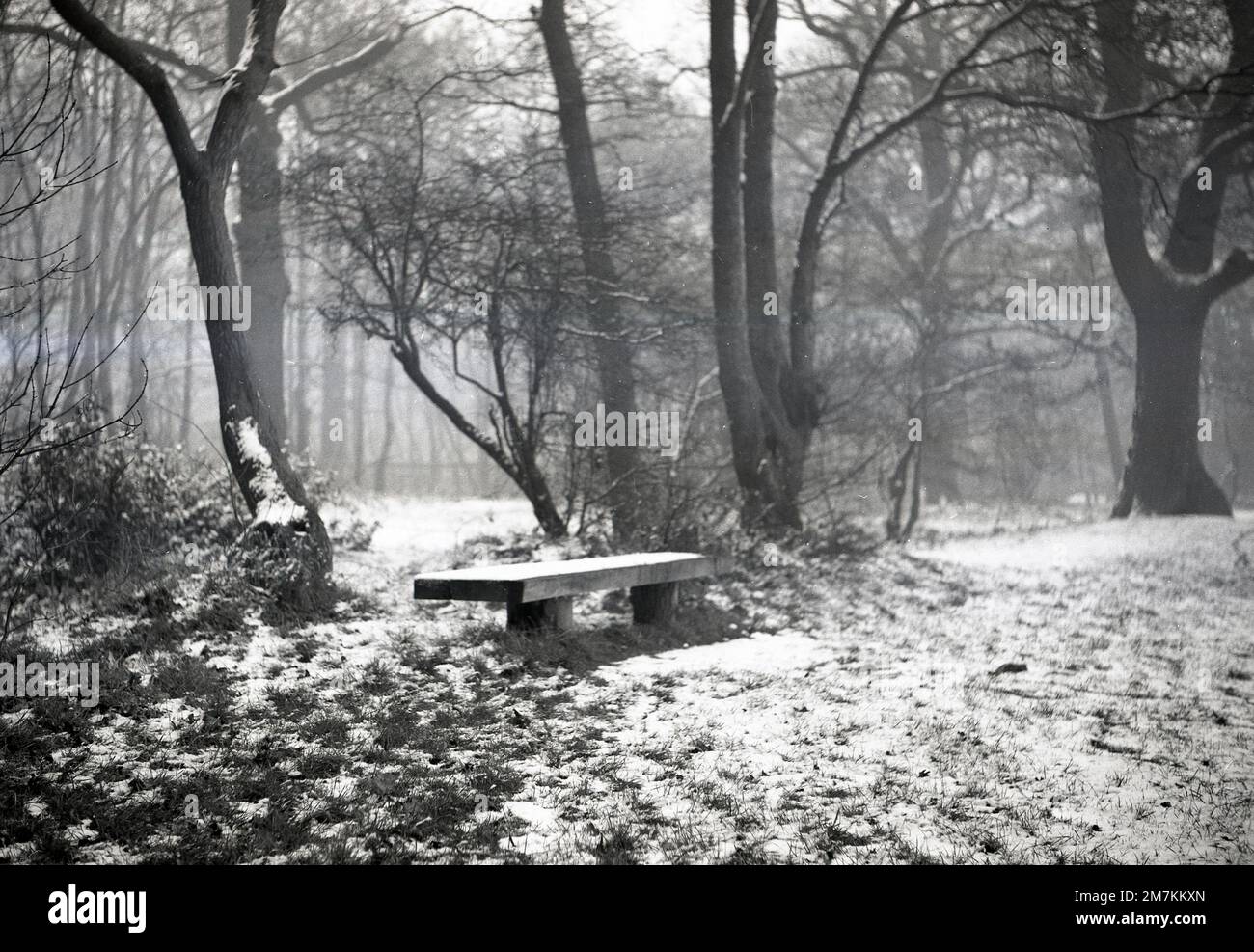 1955, historical, wintertime, a simple, rustic wooden bench in snow-covered ground in woods, Farningham, Kent, England, UK, taken with a Baldix folding film camera. Stock Photo