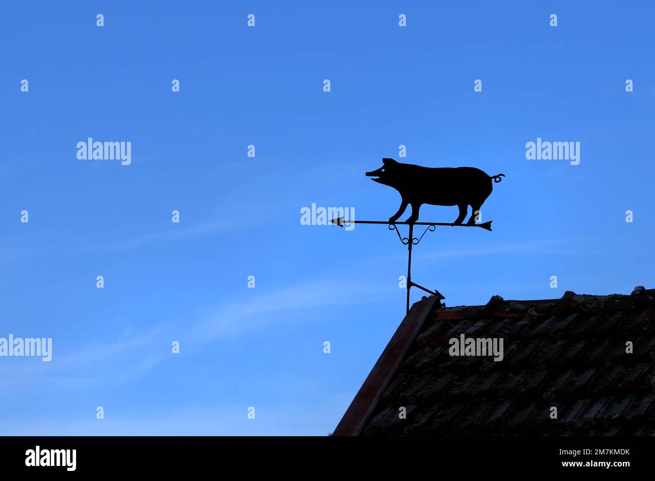 Pig shaped wind vane on top of the roof of a farm building silhouetted against blue sky. Stock Photo