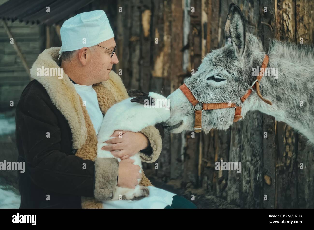 Caring doctor veterinarian holds a rabbit in his arms and a donkey next ...