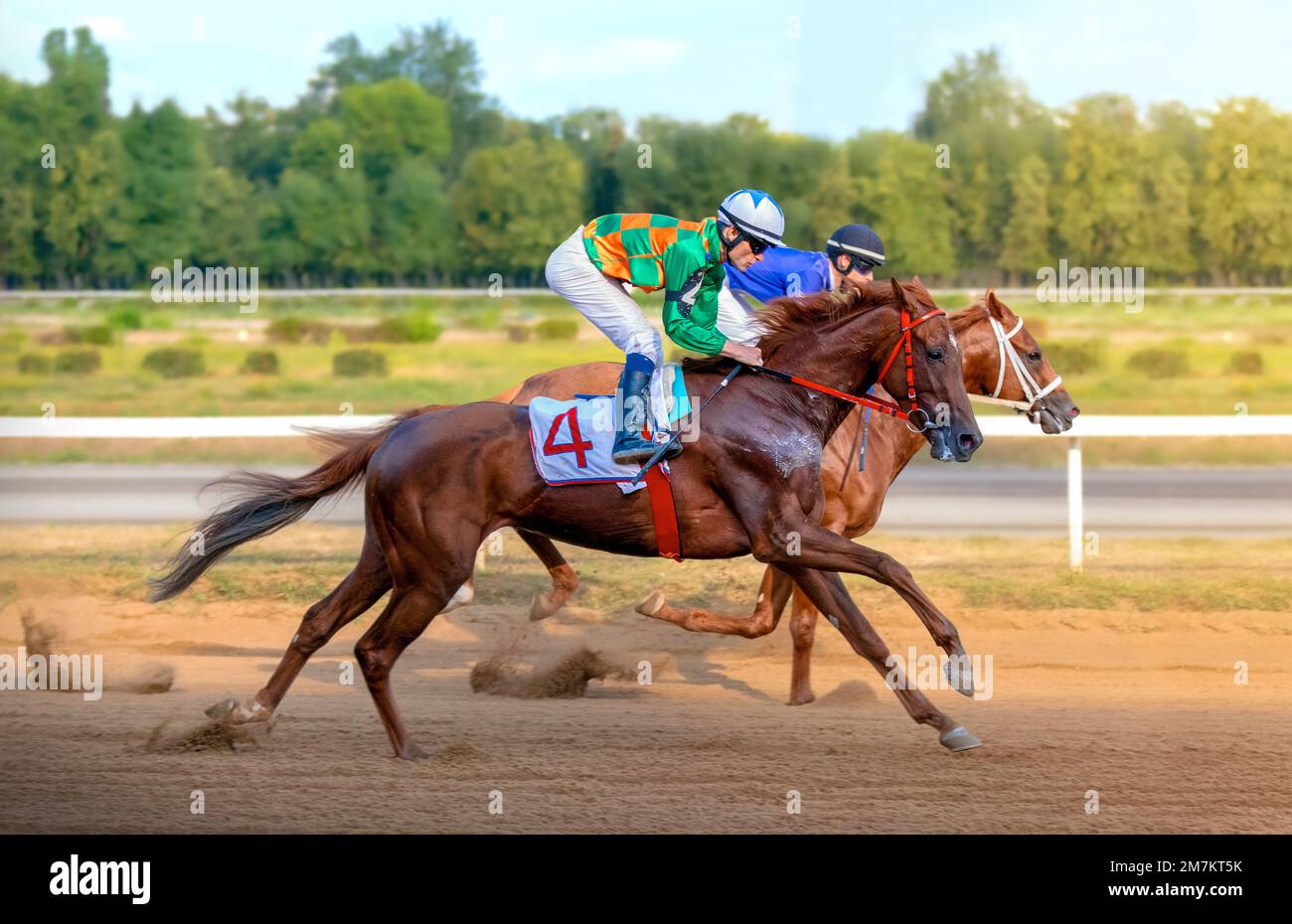 RUSSIA, MOSCOW-AUGUST 14, 2022. Two racing horses competing with each ...