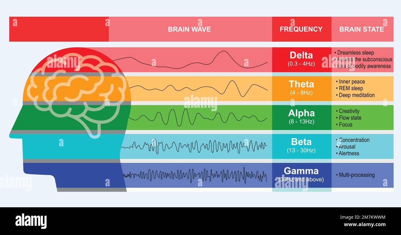Human brain waves diagram in different wave frequencies, a neurologist, neuroscientist, and physician study brain EEG indication vector illustration Stock Vector
